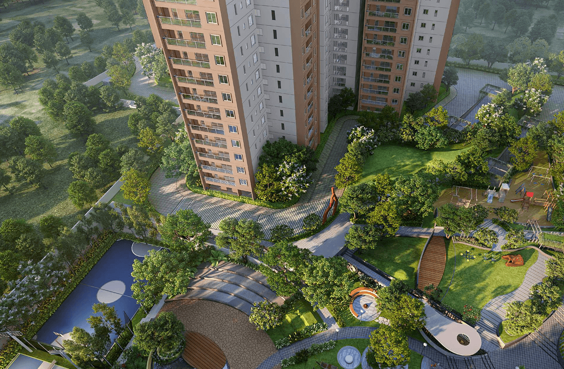 Dense Canopy of Green Trees