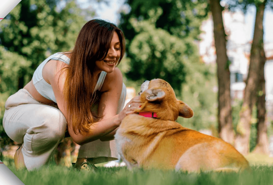 Dedicated Play Area for Pets